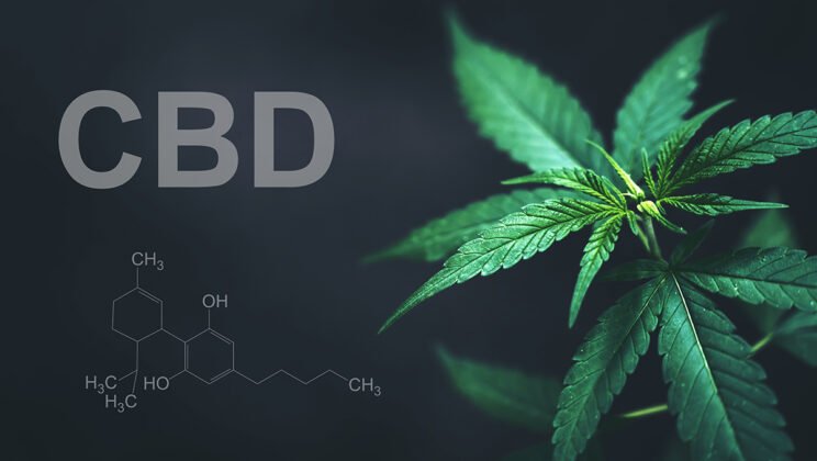 How to Build Backlinks for CBD Brands in Restricted Niches