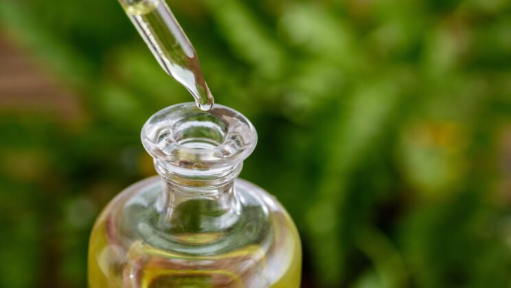 Building Search Visibility from Scratch: A CBD Brand’s Guide to Organic Growth