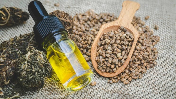 Why Most CBD Websites Struggle with Organic Traffic (And How to Fix It)