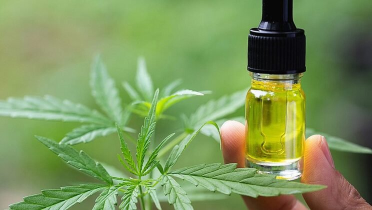 The Ultimate Guide to Link Building for Cannabis and CBD Websites