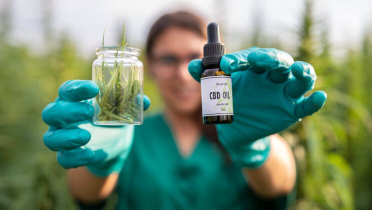 Mastering Keyword Strategy for CBD Brands: How to Target, Rank, and Convert