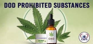 What Google Really Wants from Cannabis and CBD Websites in 2025