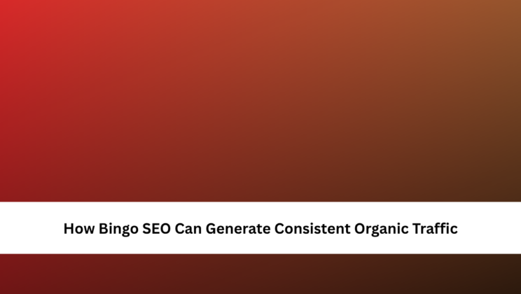 How Bingo SEO Can Generate Consistent Organic Traffic